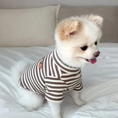 Chic Summer Pet Outfits for Small Dogs