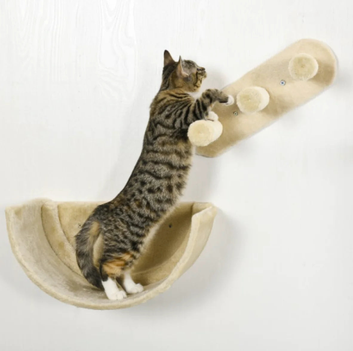 Cat Climber Wall Combo Kit