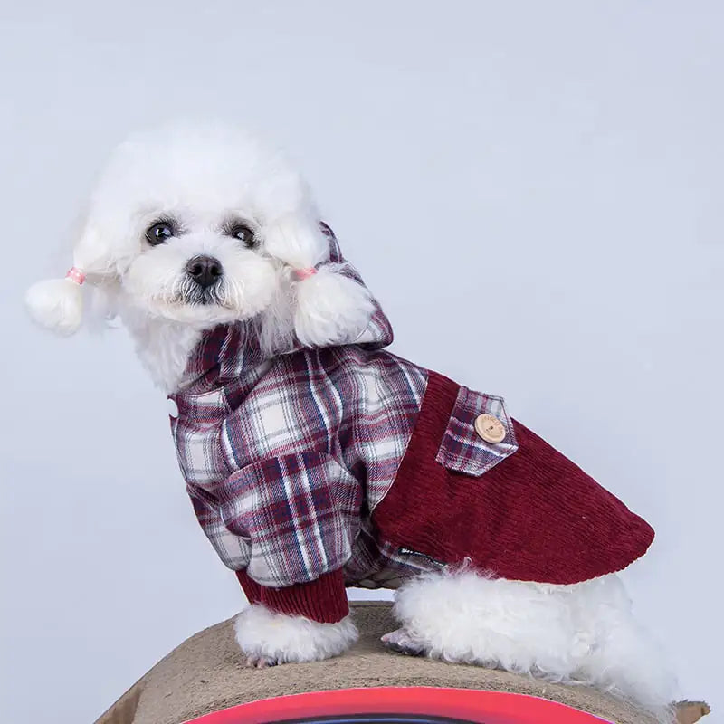 Pampered Pup Cashmere Hoodie