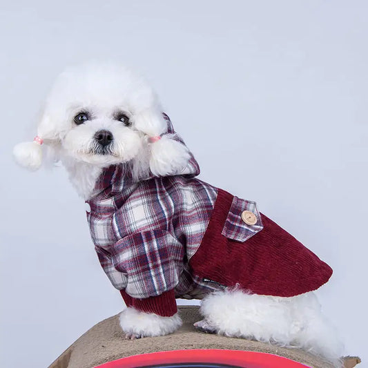Pampered Pup Cashmere Hoodie