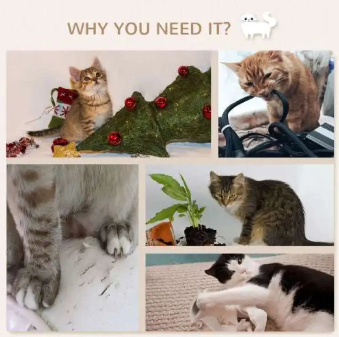 Cat Climber Wall Combo Kit