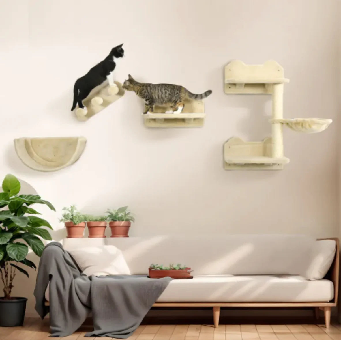 Cat Climber Wall Combo Kit